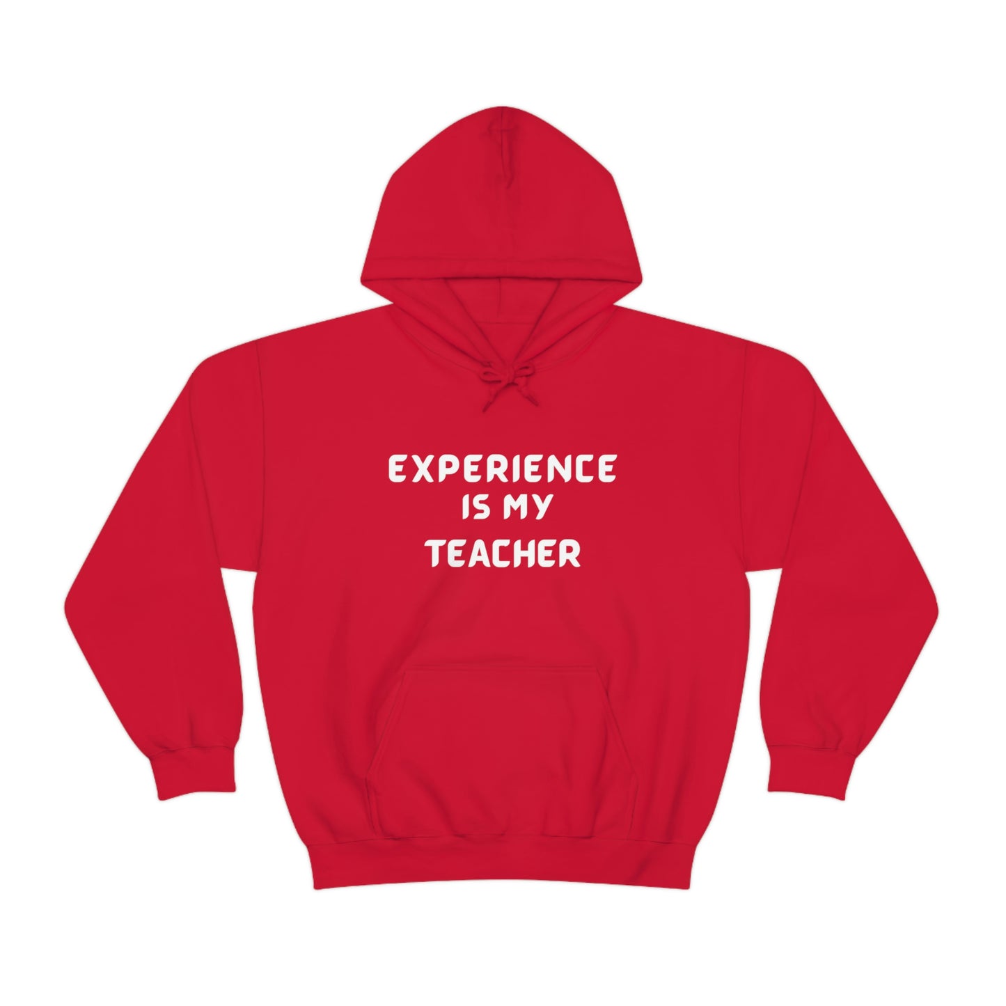 EXPERIENCE IS MY TEACHER UNISEX HOODIE GIFT FOR MATURE FRIEND GIFT HOODIE FOR SUCCESSFUL FRIEND INSPIRATIONAL QUOTES HOODIE GIFT